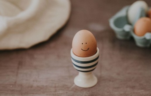 El Huevo Eugene: lecciones de un estrellato en Instagram
